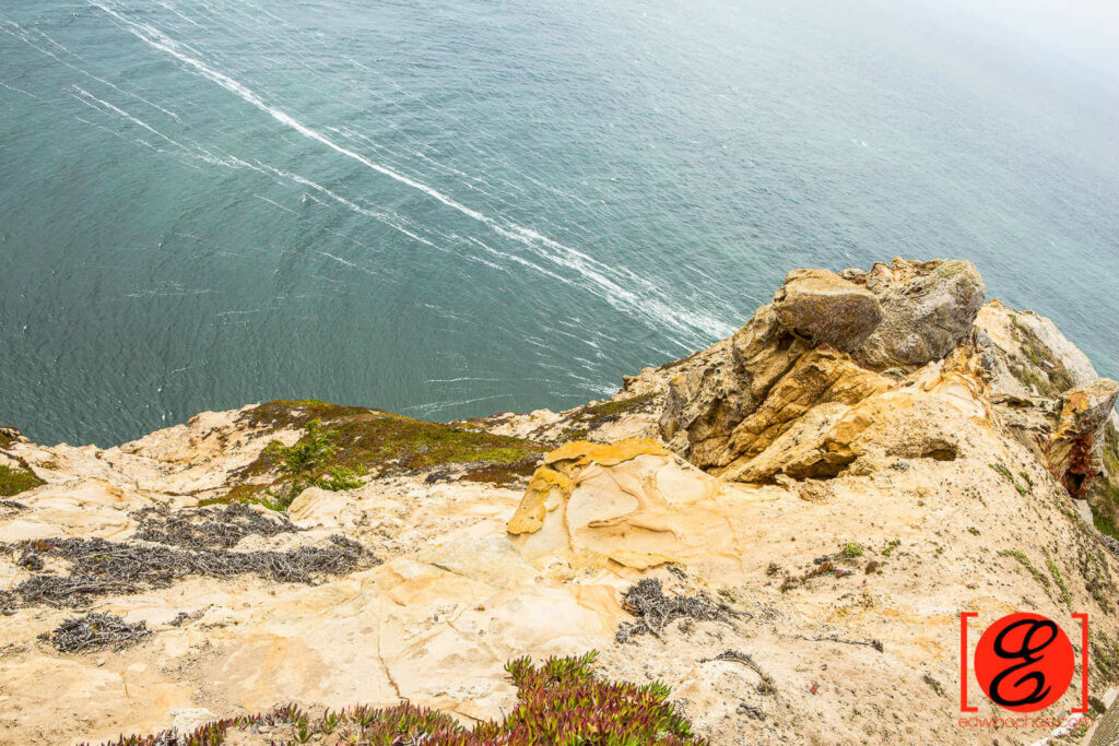 Point Reyes